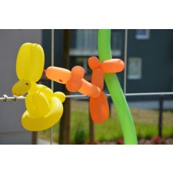 gal2706_balon_mal_twarzy_30.jpg