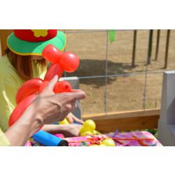 gal2706_balon_mal_twarzy_55.jpg